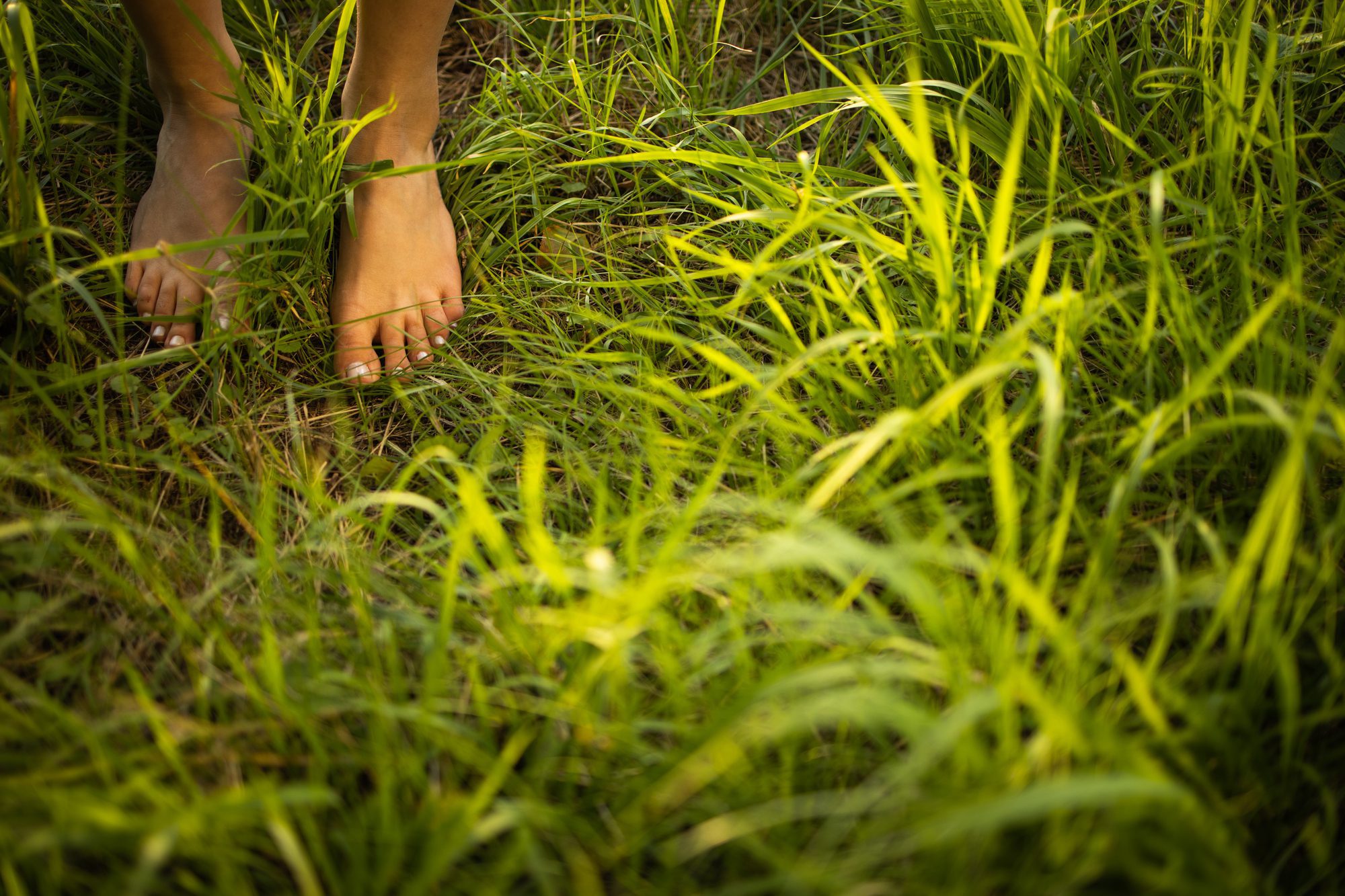 Barefoot young woman in green meadow; Harmony with nature - grounding.